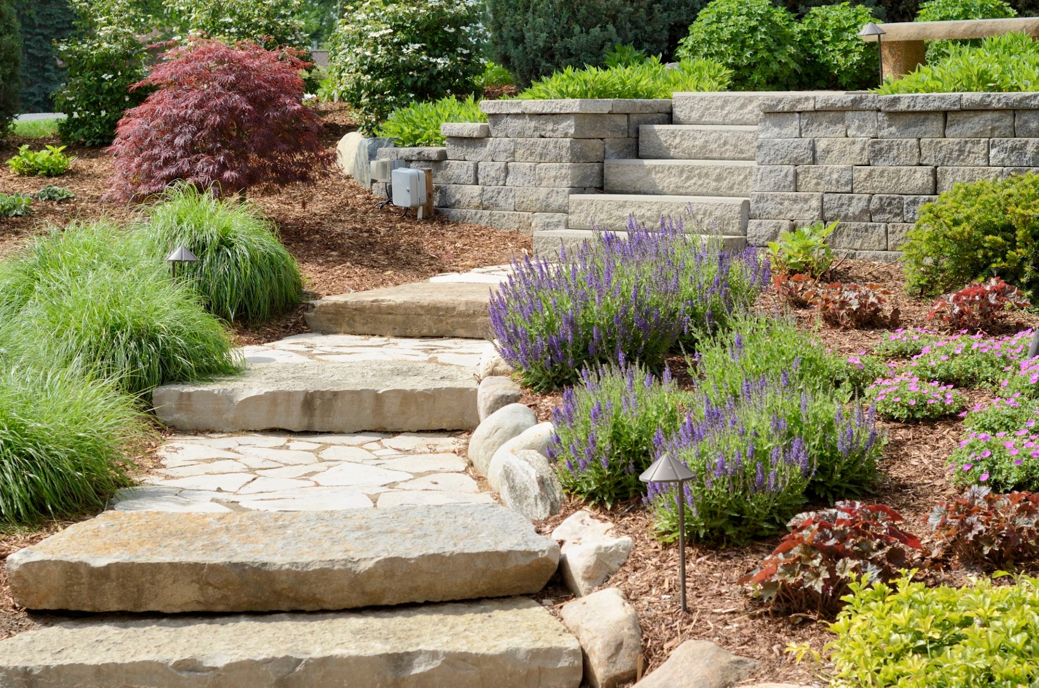Natural stone steps with lavender, ornamental grasses, and tiered retaining wall at Kings Beach vacation home